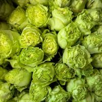 Bouquet Rose Lemonade by piece