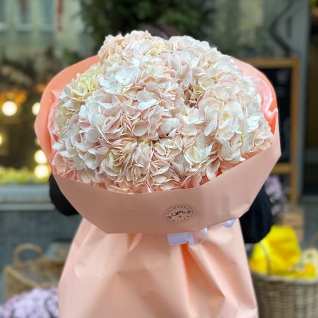 Bouquet Bouquet of pink hydrangeas 7pcs