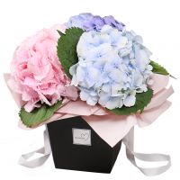 Bouquet Hydrangea in a box