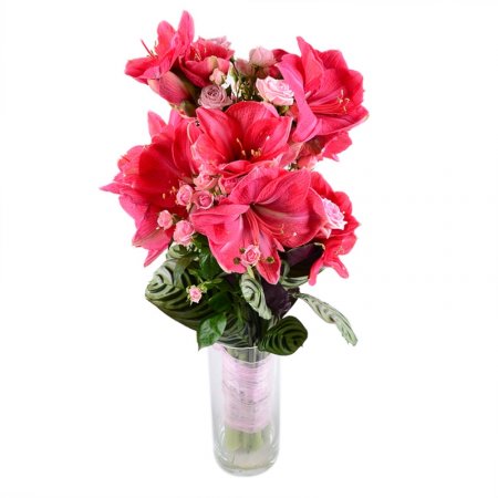 Bouquet With amaryllis
