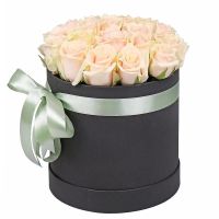 cream rose (21 pcs.), oasis, embossed box, packaging, ribbon