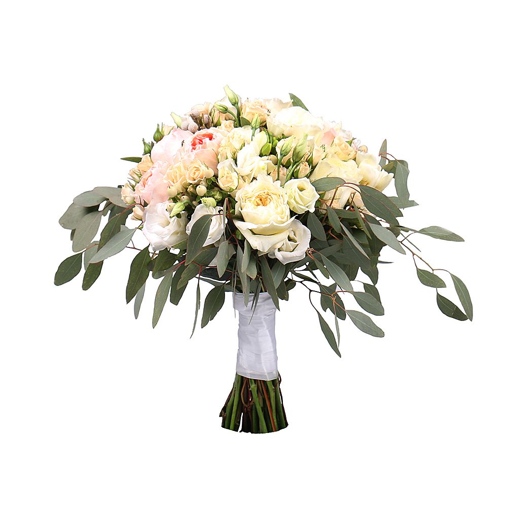 David Austin rose (13 pcs.), packaging, ribbon