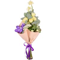 eustoma, orchid, eucalyptus (2 pcs.), ornithogalum (2 pcs.), heleborus, trachelium, packaging, tape