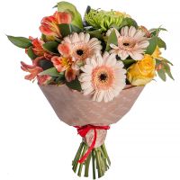 gerbera, chrysanthemum, rose (5 pcs.), alstroemeria, packaging, ribbon