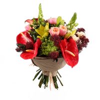 anthurium, calla lily, vuvuzela rose (7 pcs.), ornithogalum, lily, carnation, skimmia, packaging, ribbon