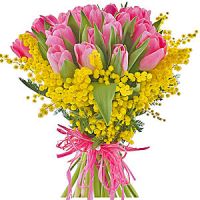 Bouquet Spring wonder