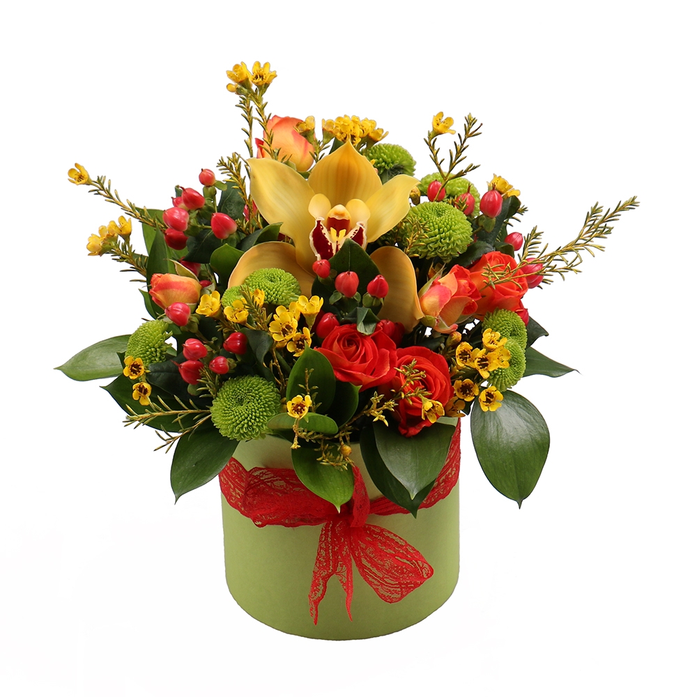 chrysanthemum, chamelacium, spray rose (2 pcs.), hypericum (2 pcs.), oasis, cymbidium, box, packaging, ribbon